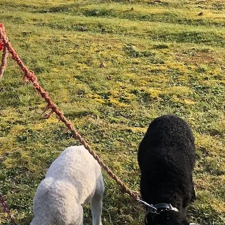 Bed & Bath Taet Pa Nationalpark Vadehavet Ribe