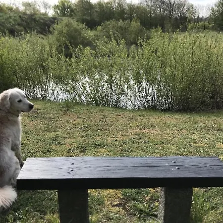 Apartment Bed & Bath Taet Pa Nationalpark Vadehavet