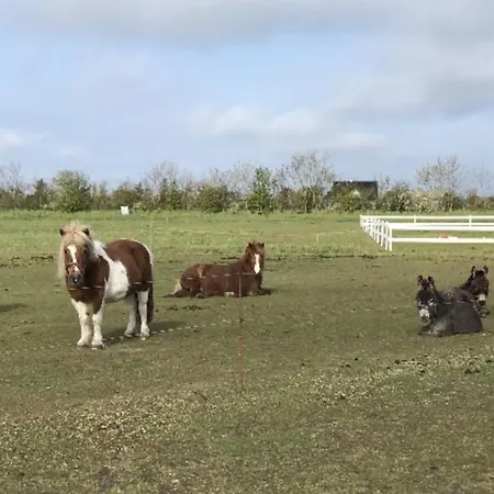 Bed&bath Tæt På Nationalpark Vadehavet Lejlighed