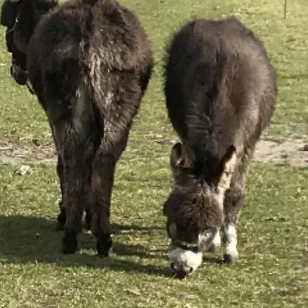 Bed&bath Tæt På Nationalpark Vadehavet Lejlighed