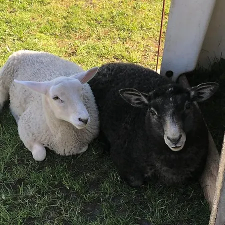 Lejlighed Bed&bath Tæt På Nationalpark Vadehavet