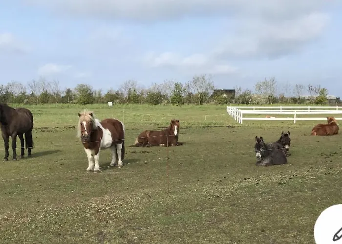 Bed & Bath Taet Pa Nationalpark Vadehavet Apartment